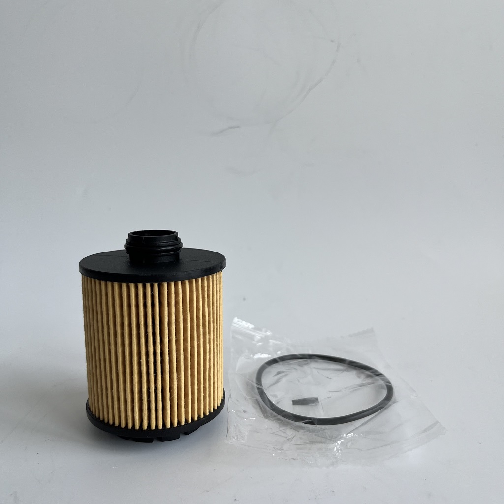 HU7043Z 1612565980 Oliefilter vir PETGEOT